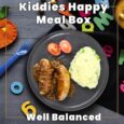 Kiddies-Happy-Meal-Box-Well-Balanced.jpg