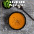 Soup-Box-Vegetable-Soup.jpg