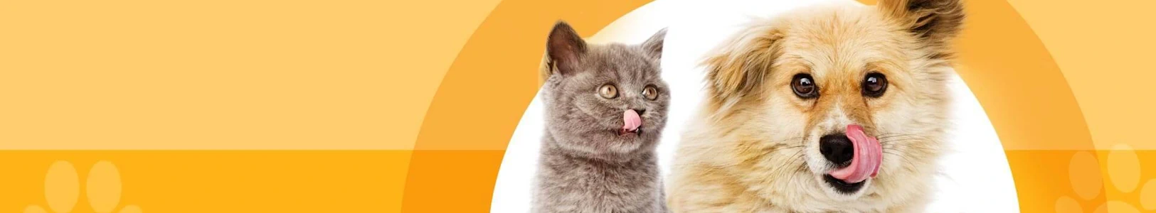 Pets Palate