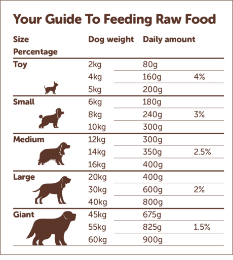 Pets Feeding Guideline